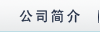 ��˾���